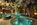 Dreams Natura Resort & Spa